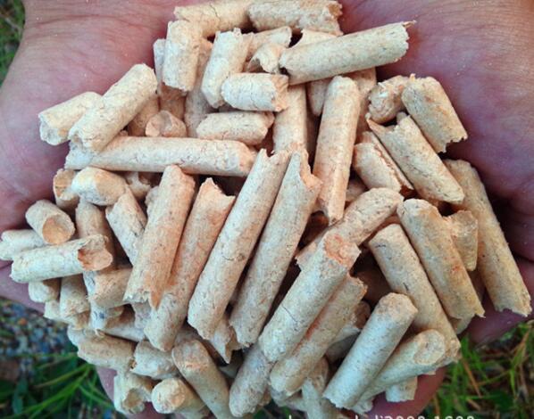 生物质草莓影视大全污械设备