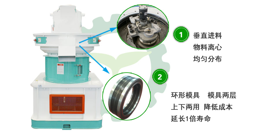 草莓影视大全污图片