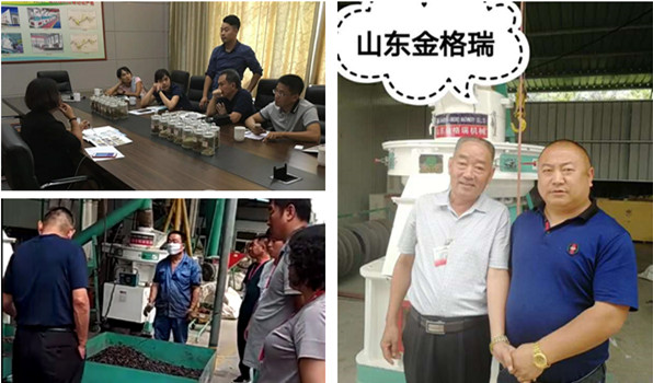 奔赴山东草莓污视频在线观看，只为实现自己的创业梦想