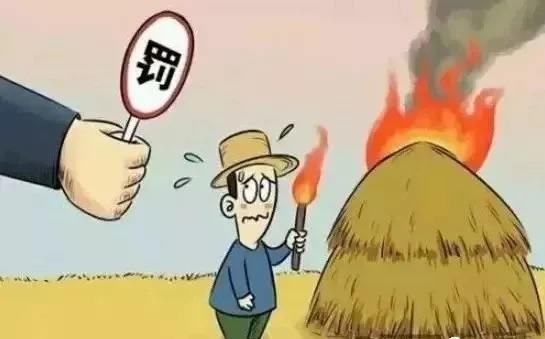 生物质草莓影视大全污械