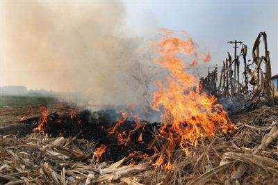 生物质草莓影视大全污械