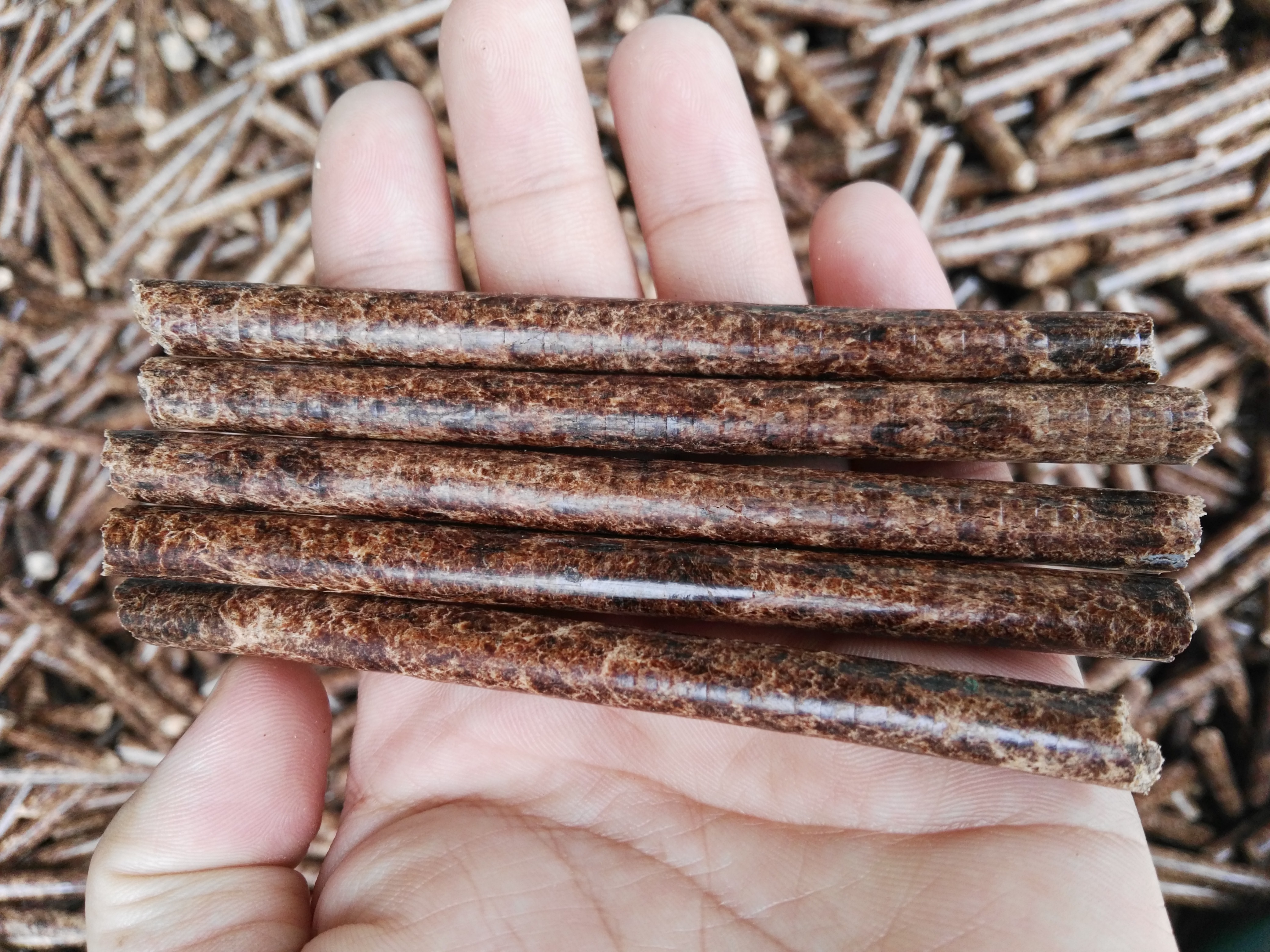 生物质草莓影视大全污械
