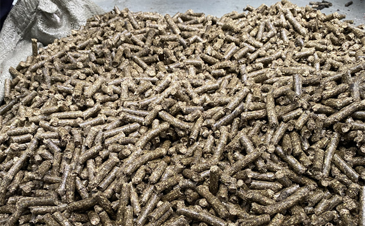 生物质燃料草莓影视大全污颗粒项目