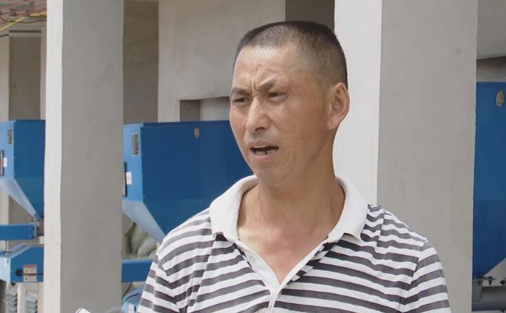 烟农代兴祥说：“生物质燃料烤烟用起来比原煤要方便的多，像以前烧原煤时，每天晚上都要起来添煤，如今这个烤房只要把箱子里面加满，它基本上可以管四个小时，现在草莓污视频在线观看一个人可以烧十几间烤房，人工这方面要节约很多。”