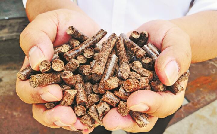推广生物质燃料利用，农林业废弃物变成“宝贝疙瘩”