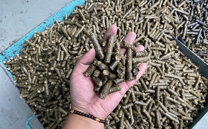 生物质草莓影视大全污加工的燃料