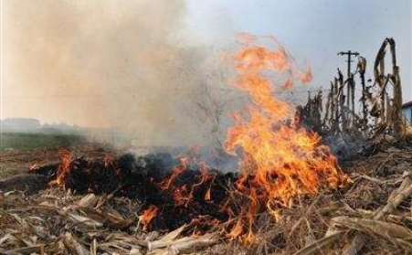 秸秆草莓影视大全污让秸秆成农民眼中“香饽饽”！