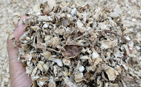 为什么有人愿意花钱买生物质燃料草莓影视大全污来加工稻壳花生壳呢？有必要吗？