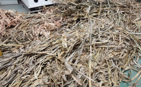 突泉县：废弃秸秆综合利用催生绿色经济