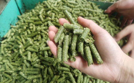 河南支持生物质能等可再生能源替代，助力实现碳达峰碳中和目标