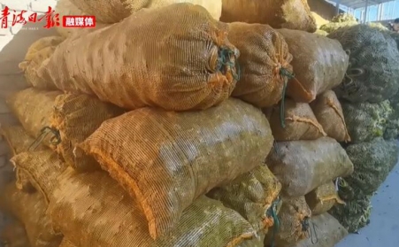 青海海东乐都：生物质颗粒燃料燃起乡村振兴新希望