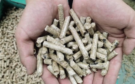 生物质草莓影视大全污加工的燃料颗粒是相对可靠和环保的