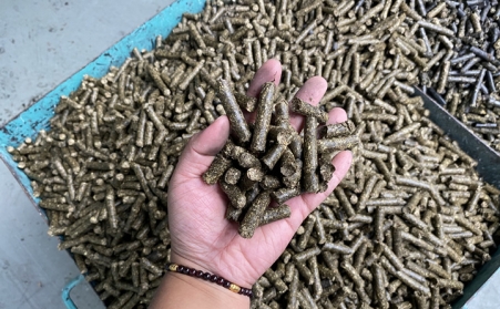 生物质草莓影视大全污制作一吨生物颗粒的成本和利润受哪些因素影响？